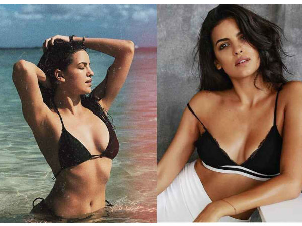  బికినీలో నటాషా: