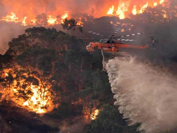 టెన్నిస్ ఆటగాళ్ళు సైతం నిధులు