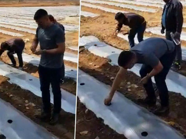 ఐపీఎల్‌తో రీఎంట్రీ..