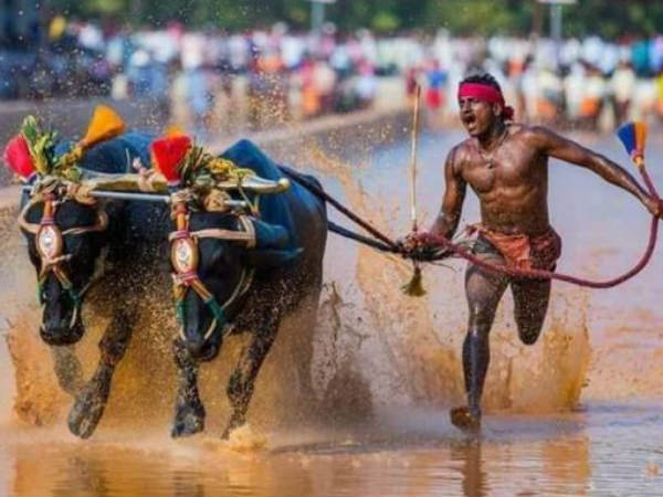 9.55 సెకన్లలోనే 100మీ: