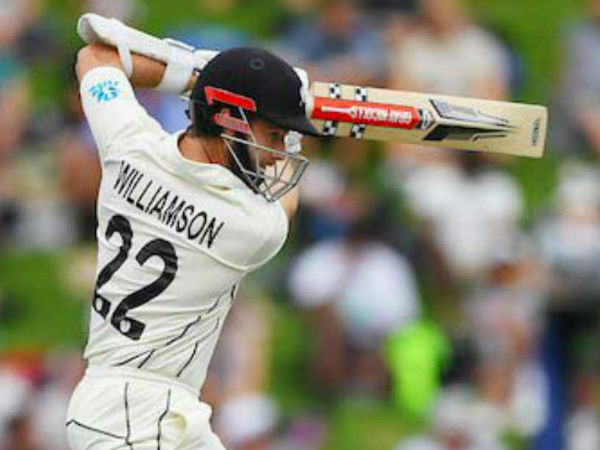 విలియమ్సన్‌ హాఫ్ సెంచరీ: