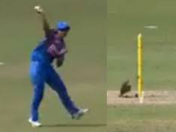  కామెంటేటర్లు కూడా..