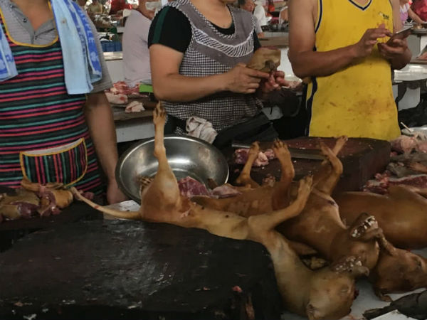 ఏది పడితే అది తిని మహమ్మారిని తెచ్చారు: