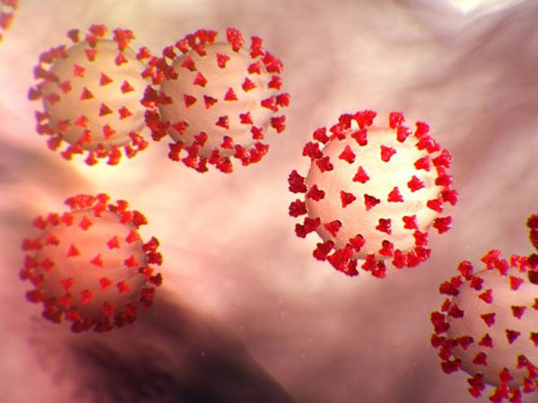 జనసమూహాలు వద్దు.. దేశ ఆరోగ్యం ముఖ్యం..