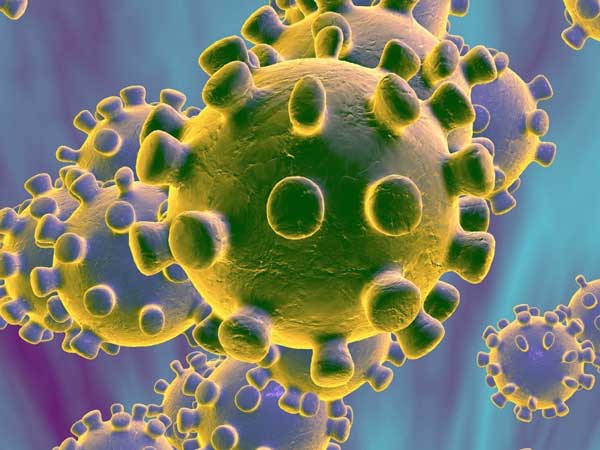 ప్రేక్షకుల్లేకుండానే ఈ సీజన్‌: