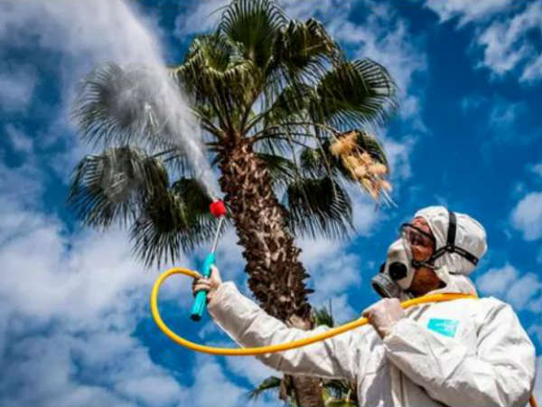  త్వరగా ఒక నిర్ణయం వెల్లడించాలన్న జపాన్ ప్రధాని