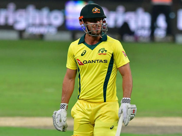 Chris Lynn Says T20 World Cup Shouldnt Go Ahead