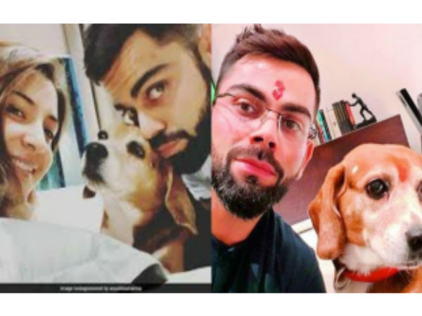 బ్రూనో అంటే ఎంత ఇష్టమో: