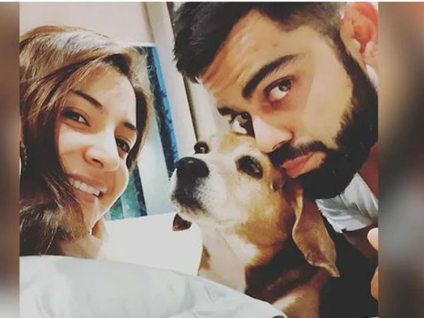  ఐపీఎల్ నిరవధిక వాయిదా: