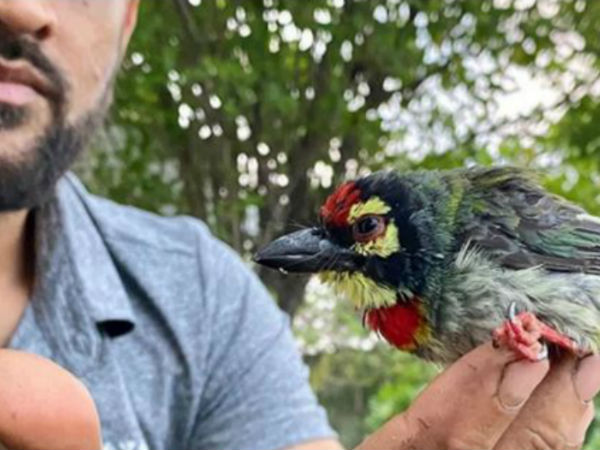 నాన్న నీళ్లు తాగించాడు: