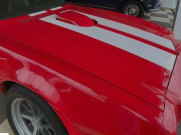  ఇక్కడ దొరకడం చాలా అరుదు: