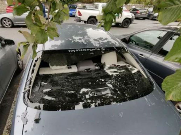 కారు అద్దాలు ధ్వంసం: