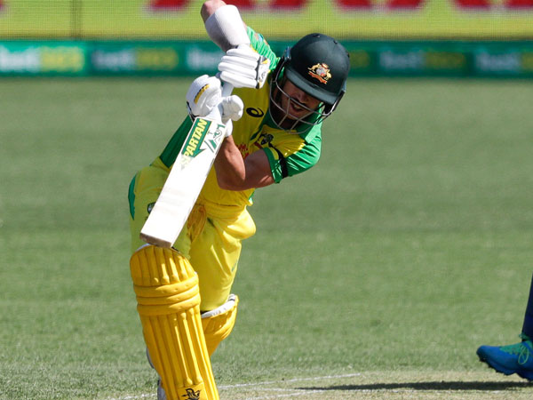 ఫించ్, వార్నర్ అర్ధ శతకాలు