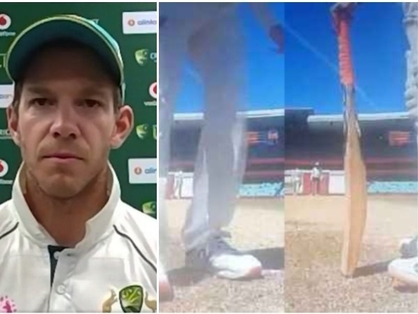 పైన్ మద్దతు..