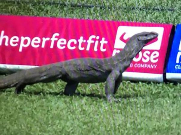 పరిస్థితులను పర్యవేక్షిస్తాం: