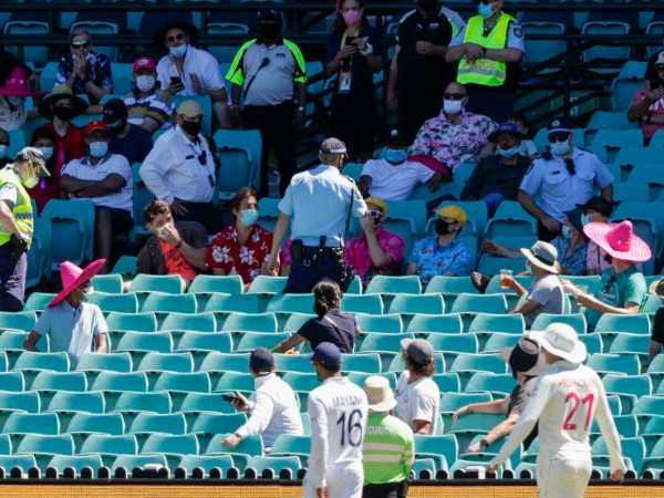 బ్రౌన్ మంకీ అన్నారు..