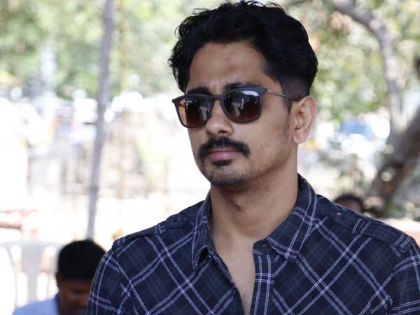 చిన్న కాక్ చాంపియన్...