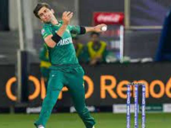 స్పెషలిస్ట్‌ల పర్యవేక్షణలో..