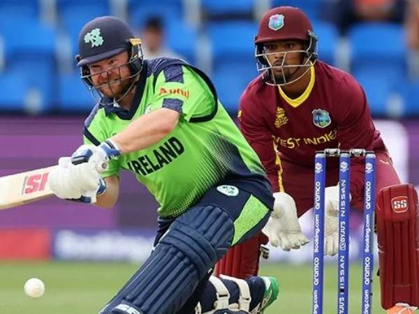  బ్రాండన్ కింగ్ ఒంటరి పోరాటం..