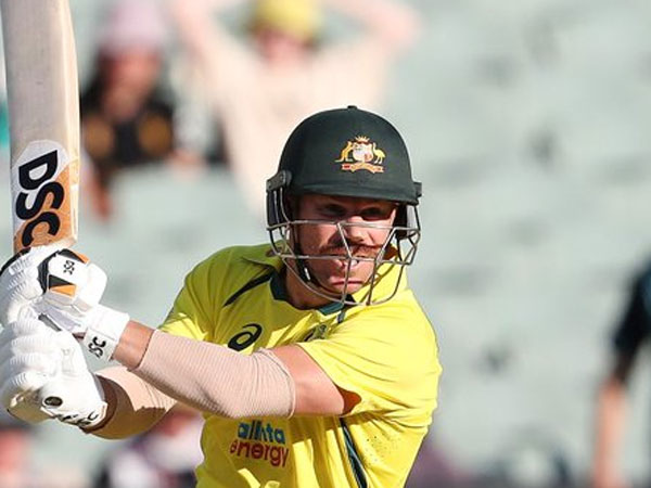 చెలరేగిన డేవిడ్ వార్నర్..