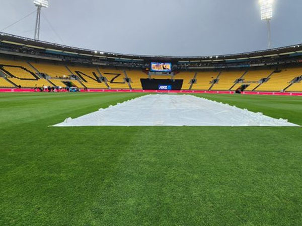 పిచ్ ఎలా ఉంటుంది?