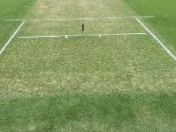  అంపైర్లను కూడా అడిగా..