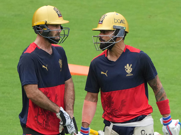 glenn maxwell virat kohli