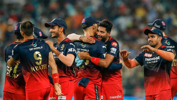  Josh Hazlewood likely to replace injured David Willey