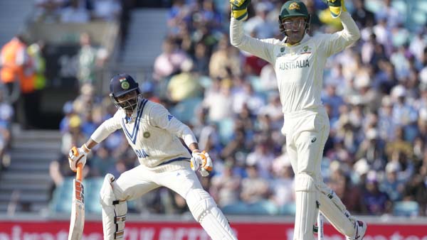 INDvsAUS WTC Final Fans troll team india batting after horror show