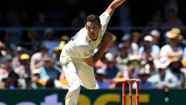 WTC Final JOsh Hazzlewood ruled out of final due to injury