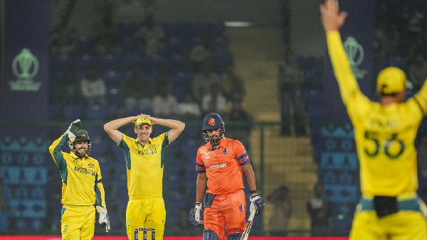 World Cup 2023 AUSvsNED Everything went Aussie way against Netherlands