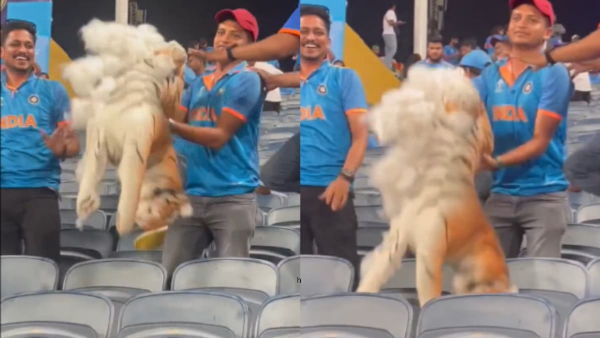  World Cup 2023: Bangladesh superfan Harassed by Indian fans during India vs Bangladesh match in Pune