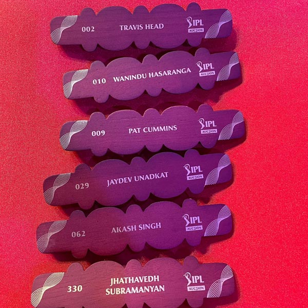 SRH Full Squad IPL 2024: Sunrisers Hyderabad full list of players after auction