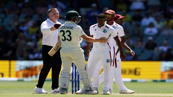 Fans trolled Australia Team. says Fear of defeat Australia forgets sportsmanship against West Indies