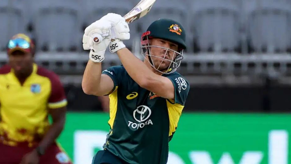 David Warners destruction batting but an inevitable defeat for Australia