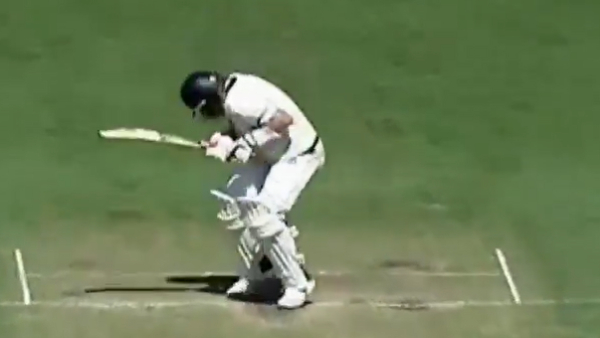 Will Pucovski Retires Hurt After Head Blow In Sheffield Shield Match Video Goes Viral Will Pucovski Retires Hurt After Head Blow In Sheffield Shield Match Video Goes Viral