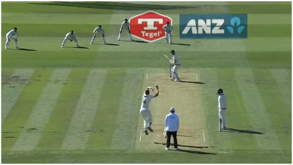 NZ vs AUS New Zealand shaken by Australia s pacers