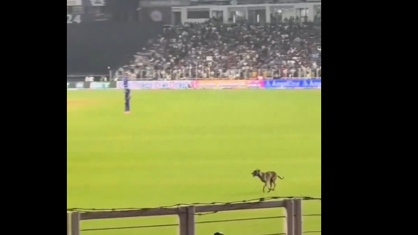 Hardik Pandya faced a terrible humiliation in the Gujarat-Mumbai match