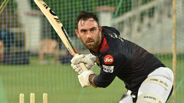 IPl 2024 RR vs RCB Royal Challengers Bengaluru hopes on Glenn Maxwell