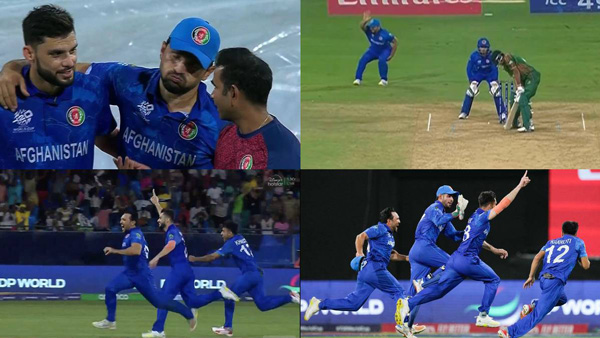 T20 World Cup Comedy of Errors in Afghanistan vs Bangladesh Match Goes Viral