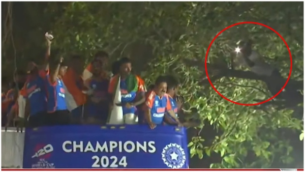 Branching Out Fan Climbs Trees for a Closer Look at Team India During Victory Parade