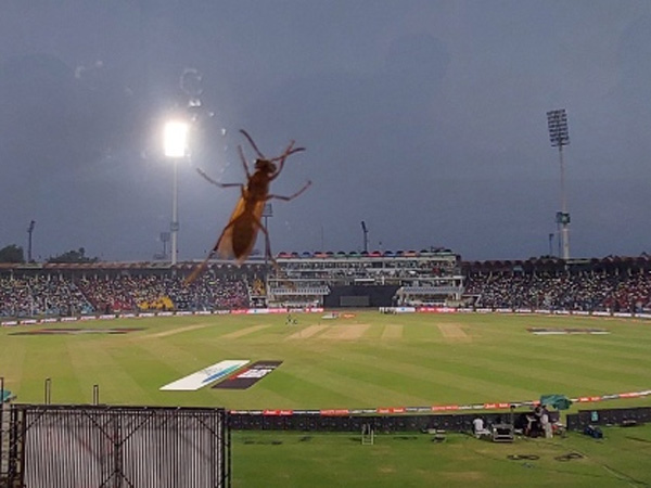 Pakistan Cricket Board to install floodlights on rental basis