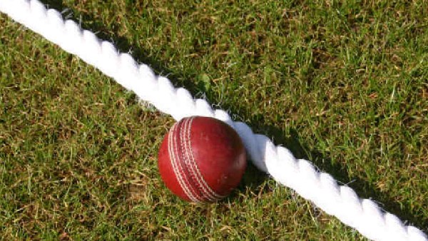 Delhi makes history in T20 cricket After all 11 players bowl against Manipur in SMAT match