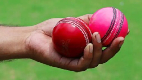 Pink Ball Vs Red Ball in Test Cricket What is the difference Why India Struggled