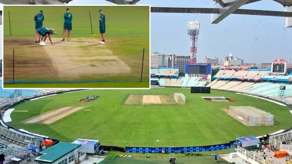 India vs England 1st T20 match Eden Gardens Pitch report