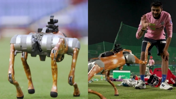 DC vs MI IPL introduces new robot dog for broadcast team Video