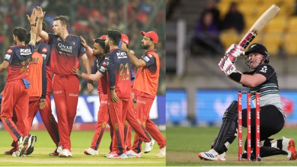 IPL 2025 RCB Signs Dangerous Player Tim Seifert Before Playoffs