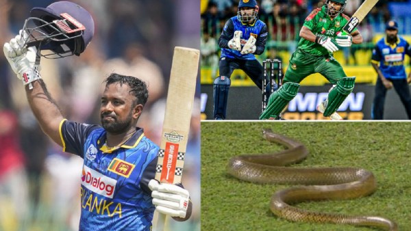SL vs BAN 1st ODI Snake Invades Field Mid-Match Shocking Players Viral Video