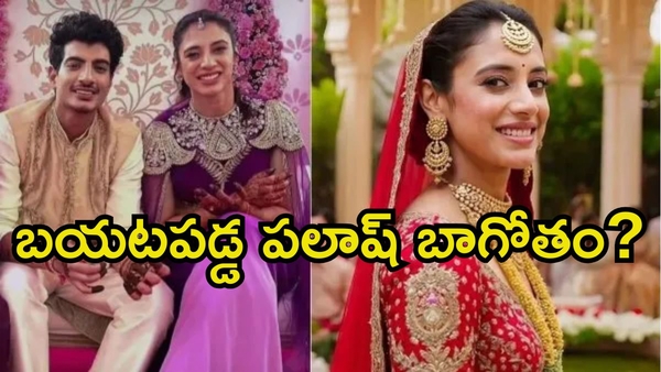 Smriti Mandhana s Wedding Sparks Controversy After Alleged Chat of Fianc Palash Muchhal Surfaces