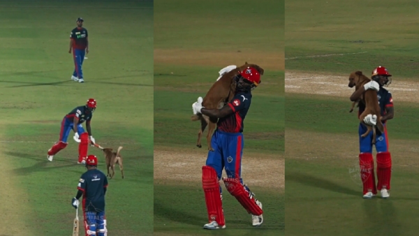 Abhishek Porel Wins Hearts Rescues Dog During Delhi Capitals IPL 2026 Practice Video Viral